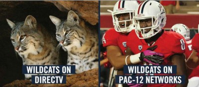 arizonawildcats
