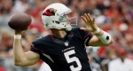 Drew Stanton Cardinals football