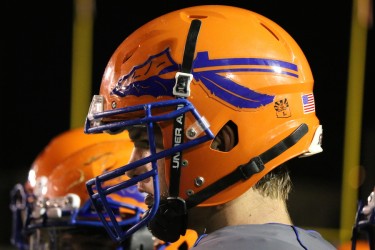 WestwoodHelmet