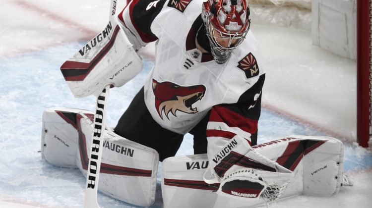 coyotes hockey jersey sale