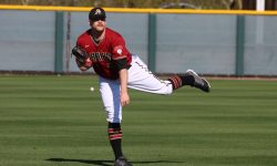 Arizona Sports News online