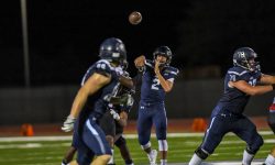 Arizona Sports News online