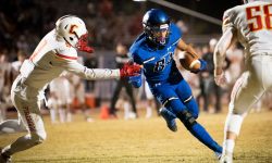 Arizona Sports News online