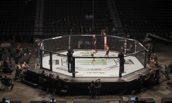 Arizona Sports News online