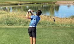 Arizona Sports News online