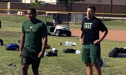 Arizona Sports News online