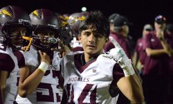 Arizona Sports News online