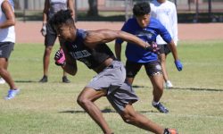 Arizona Sports News online