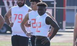 Arizona Sports News online