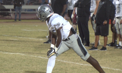 Arizona Sports News online