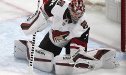 Arizona Sports News online