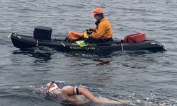 Arizona Sports News online