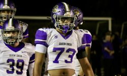 Arizona Sports News online