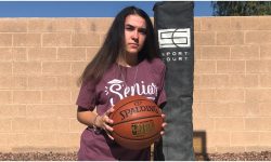 Arizona Sports News online