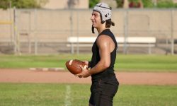 Arizona Sports News online