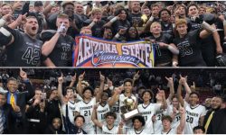 Arizona Sports News online