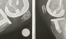 Arizona Sports News online