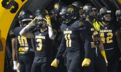 Arizona Sports News online