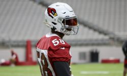 Arizona Sports News online