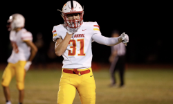 Arizona Sports News online