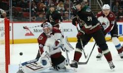 Arizona Sports News online