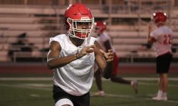 Arizona Sports News online