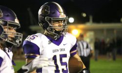 Arizona Sports News online