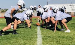 Arizona Sports News online