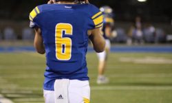 Arizona Sports News online