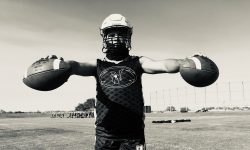 Arizona Sports News online