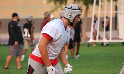 Arizona Sports News online