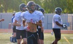 Arizona Sports News online