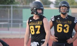 Arizona Sports News online