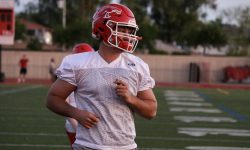 Arizona Sports News online