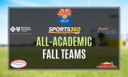 Arizona Sports News online