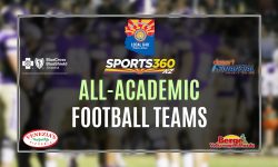 Arizona Sports News online