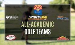 Arizona Sports News online