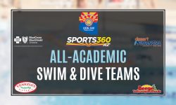 Arizona Sports News online