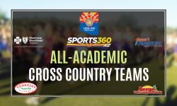 Arizona Sports News online