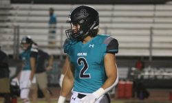 Arizona Sports News online