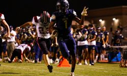 Arizona Sports News online