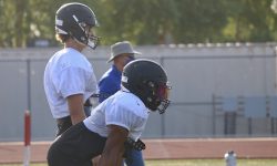 Arizona Sports News online