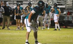 Arizona Sports News online