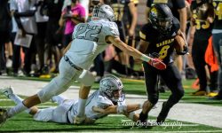 Arizona Sports News online