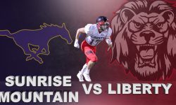 Arizona Sports News online