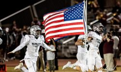 Arizona Sports News online