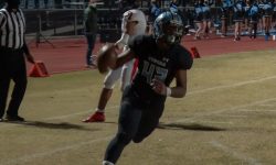 Arizona Sports News online