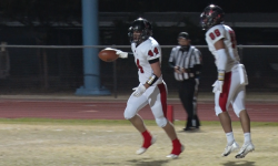 Arizona Sports News online