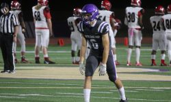 Arizona Sports News online