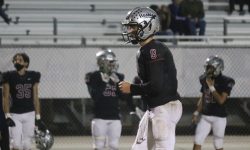 Arizona Sports News online